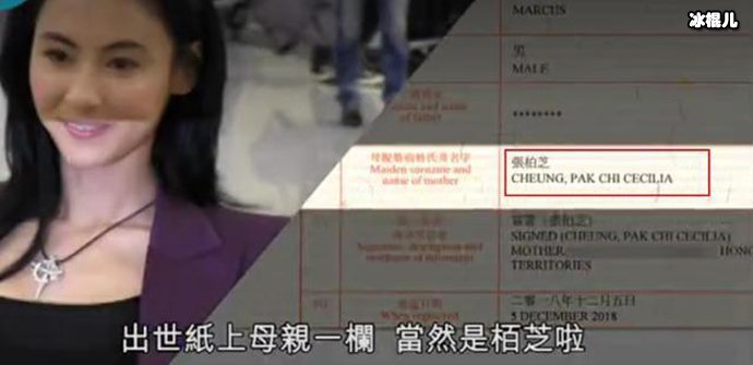 张柏芝发文称三胎儿子出生证被盗? 网友：三胎生父是谢霆锋!